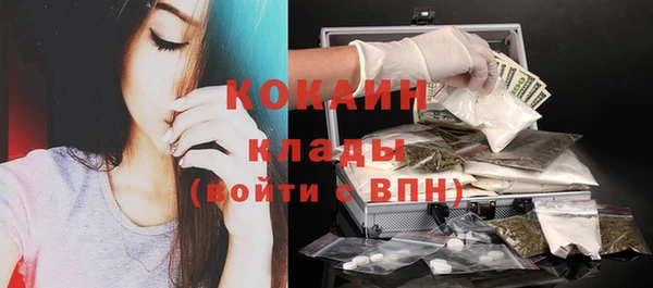 мяу мяу кристалл Няндома