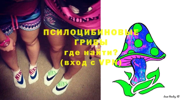 ГАЛЛЮЦИНОГЕННЫЕ ГРИБЫ Новокубанск