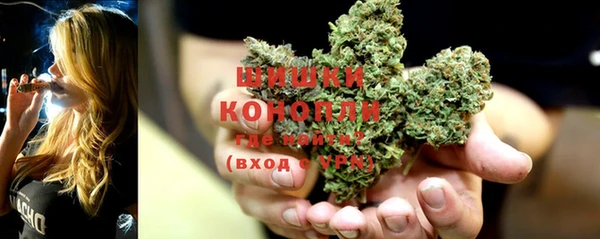 мяу мяу кристалл Няндома