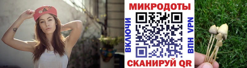 Псилоцибиновые грибы Cubensis  Купить  Апрелевка 